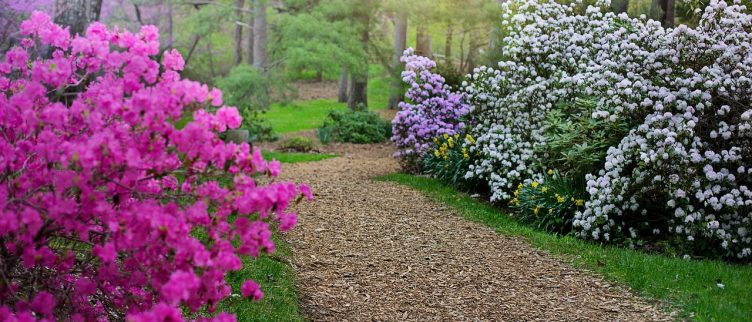 hier wij Wijde selectie 18 Goedkope tips om je tuin op orde te krijgen | Bespaarinfo.nl